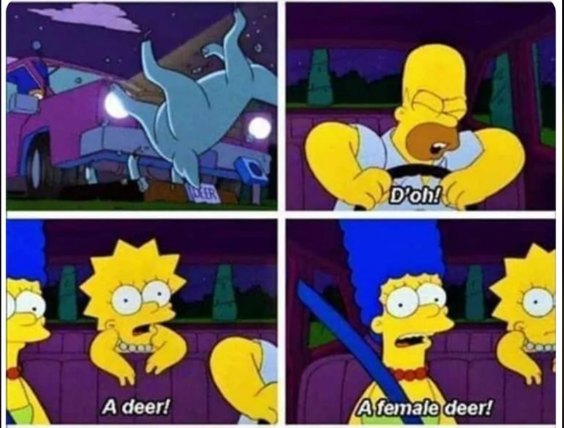 D'oh! A deer! Afemale deer!