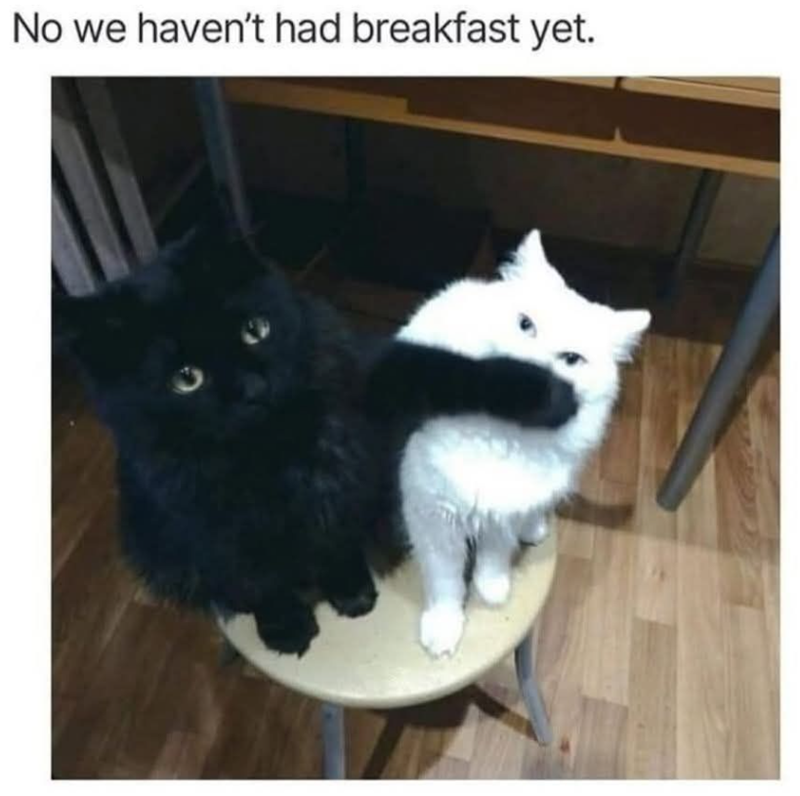 No we haven't had breakfast yet.