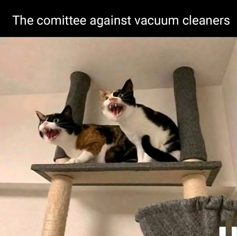 The comittee against vacuum cleaners
