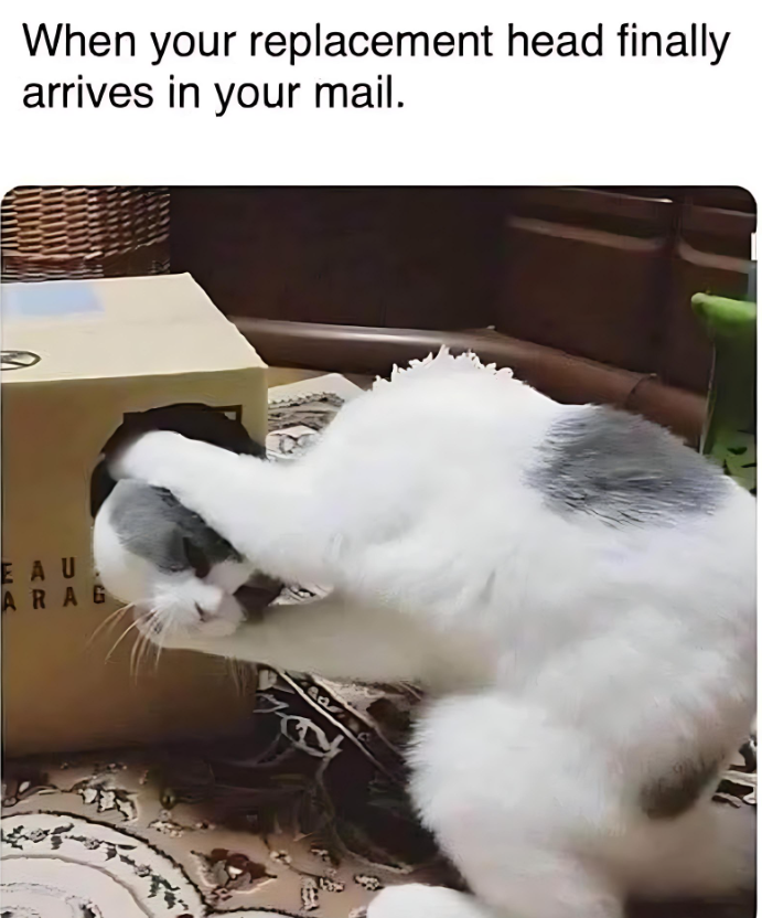 When your replacement head finally arrives in your mail. EAU ARAG ar