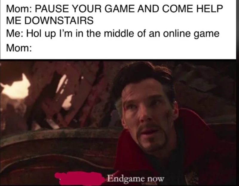 Mom: PAUSE YOUR GAME AND COME HELP ME DOWNSTAIRS Me: Hol up I'm in the middle of an online game Mom: Endgame now