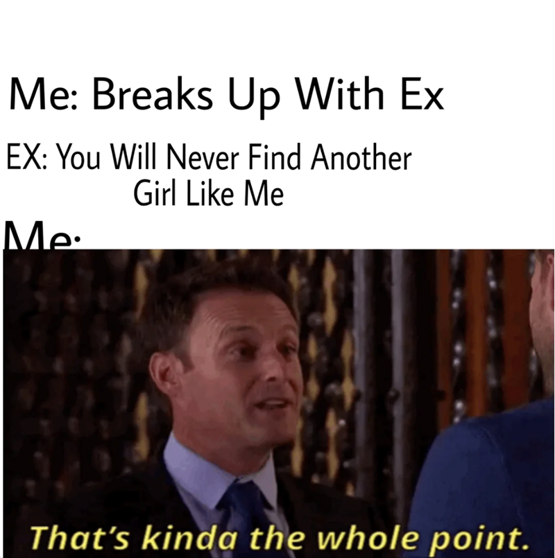 Me: Breaks Up With Ex EX: You Will Never Find Another Girl Like Me Me. That's kinda the whole point.