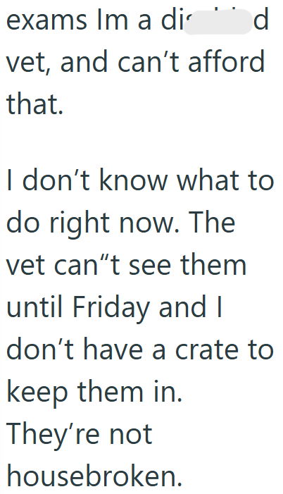 exams Im a di d vet, and can't afford that. I don't know what to do right now. The vet can't see them until Friday and I don't have a crate to keep them in. They're not housebroken.