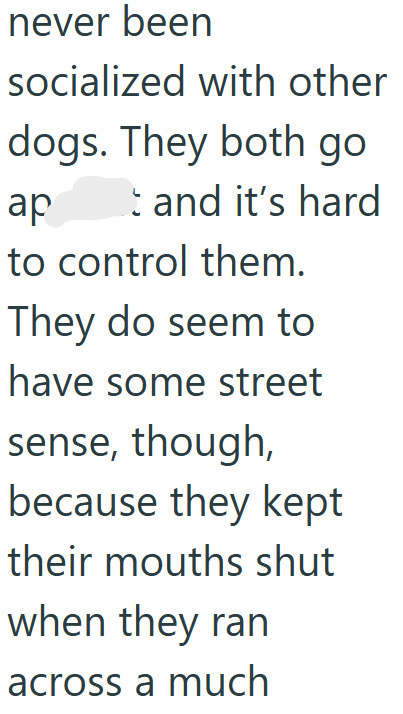 never been socialized with other dogs. They both go ap and it's hard to control them. They do seem to have some street sense, though, because they kept their mouths shut when they ran across a much