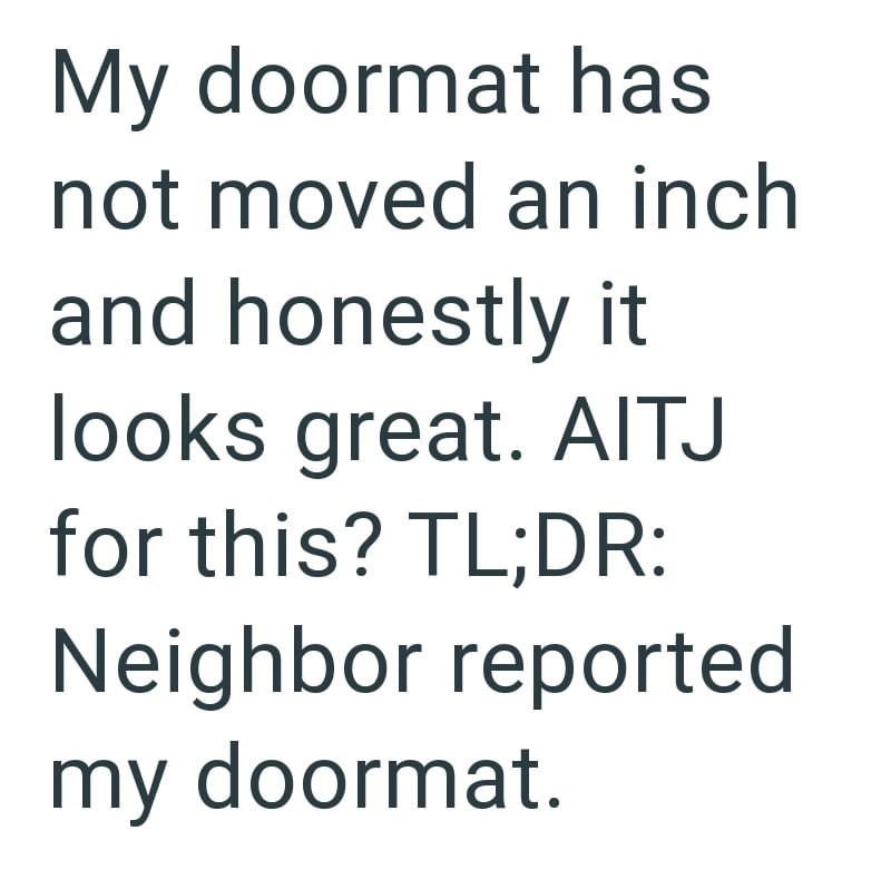 My doormat has not moved an inch and honestly it looks great. AITJ for this? TL;DR: Neighbor reported my doormat.