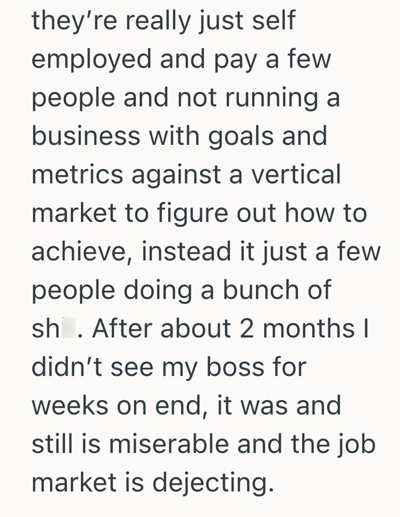 they're really just self employed and pay a few people and not running a business with goals and metrics against a vertical market to figure out how to achieve, instead it just a few people doing a bunch of sh. After about 2 months I didn't see my boss for weeks on end, it was and still is miserable and the job market is dejecting.