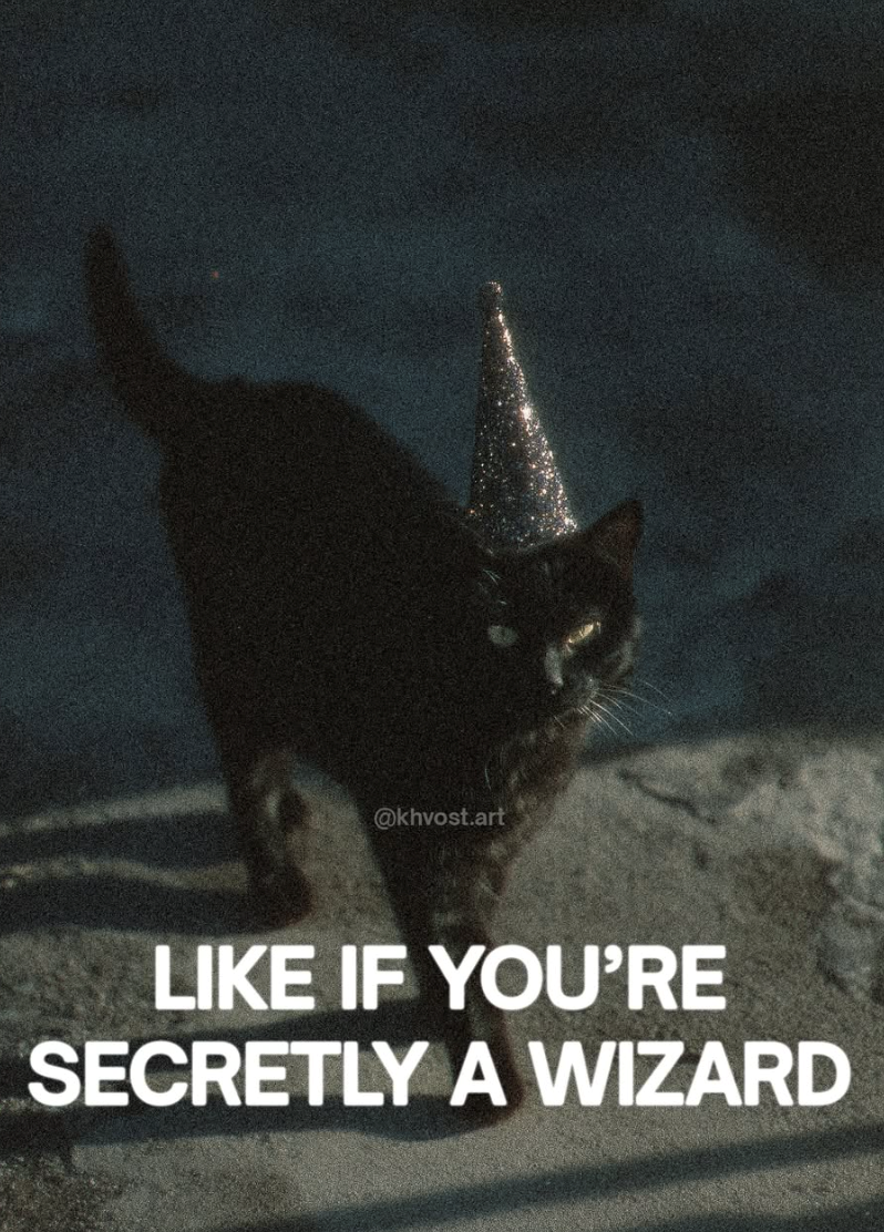 @khvost.art LIKE IF YOU'RE SECRETLY A WIZARD