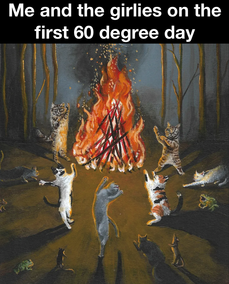 Me and the girlies on the first 60 degree day