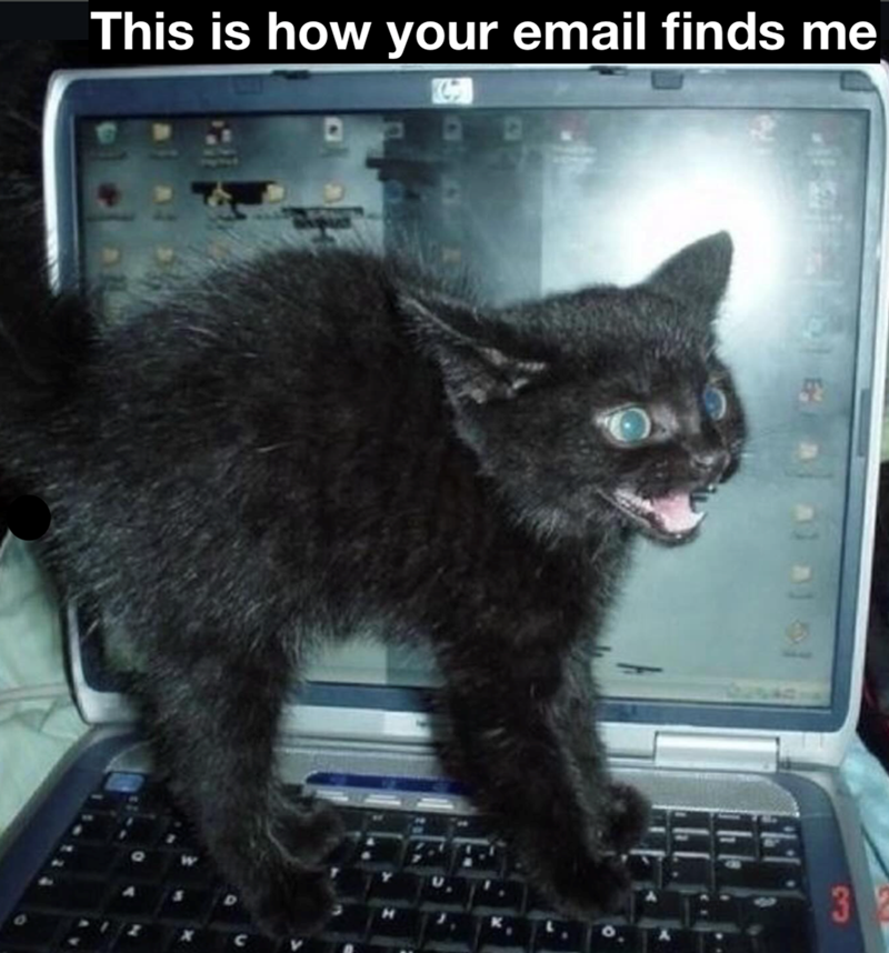 This is how your email finds me 149