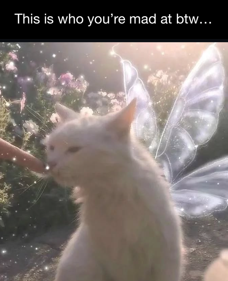 This is who you're mad at btw...