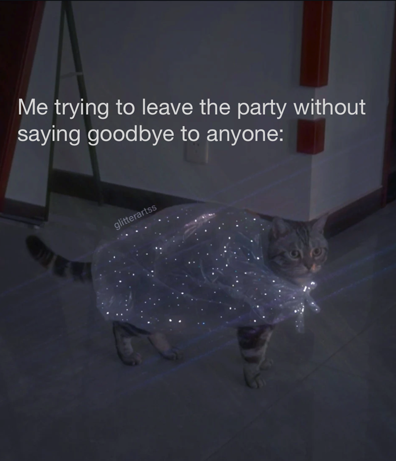 Me trying to leave the party without saying goodbye to anyone: glitterartss