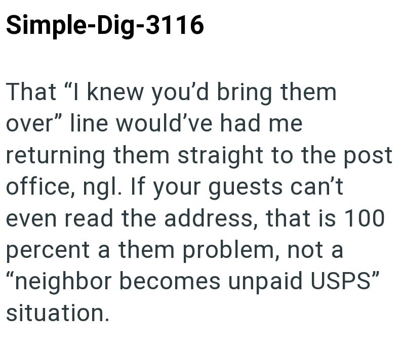 Simple-Dig-3116 That "I knew you'd bring them over" line would've had me returning them straight to the post office, ngl. If your guests can't even read the address, that is 100 percent a them problem, not a "neighbor becomes unpaid USPS" situation.