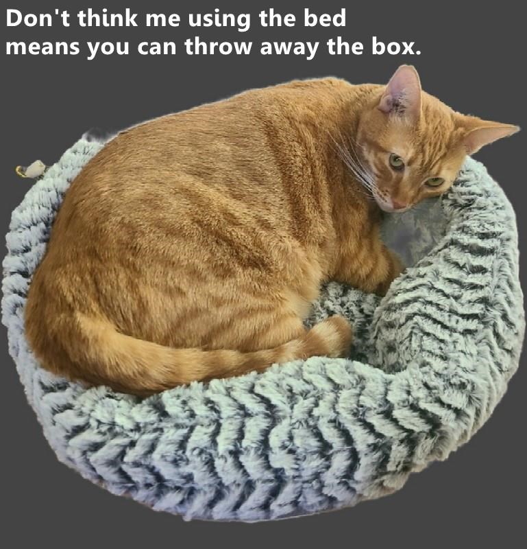 Cheezburger Image 10614059264