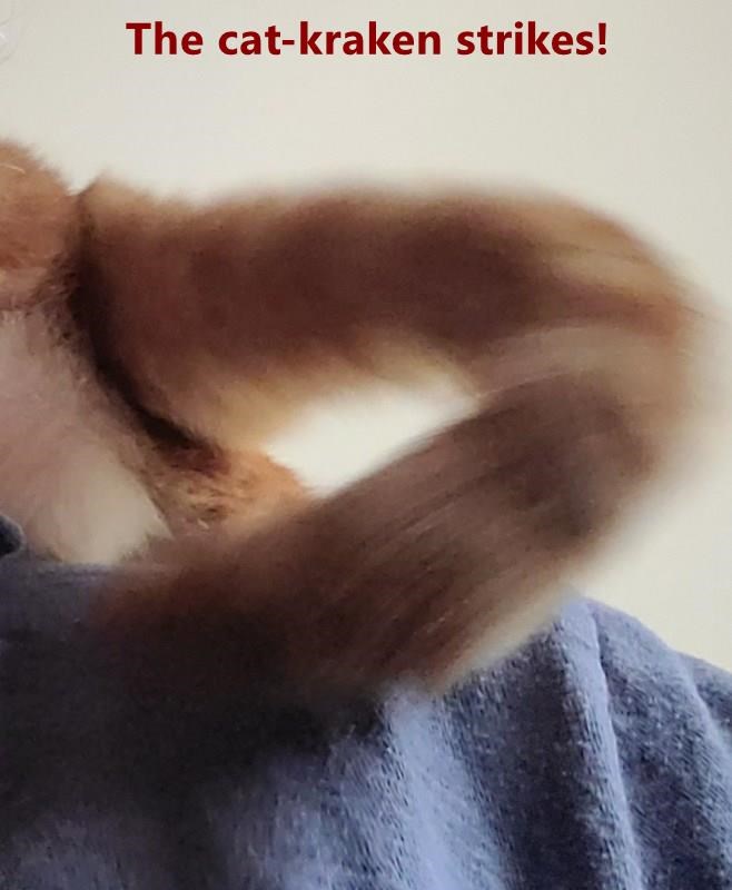 Cheezburger Image 10614072576