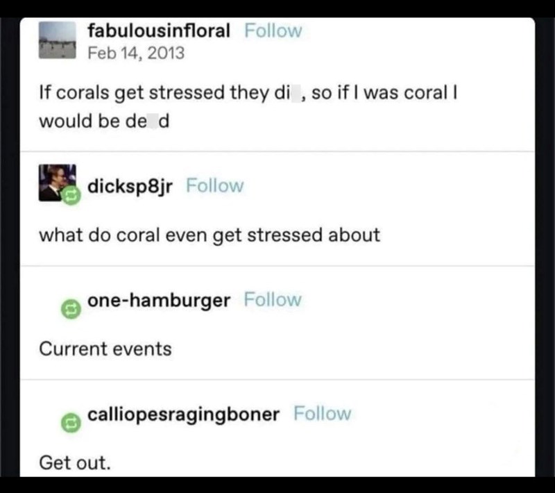 fabulousinfloral Follow Feb 14, 2013 If corals get stressed they di, so if I was coral I would be de d dicksp8jr Follow what do coral even get stressed about one-hamburger Follow Current events calliopesragingboner Follow Get out.