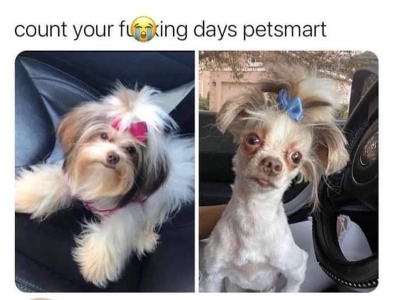 count your fuking days petsmart