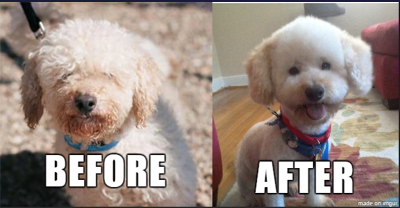 BEFORE AFTER made on imgur