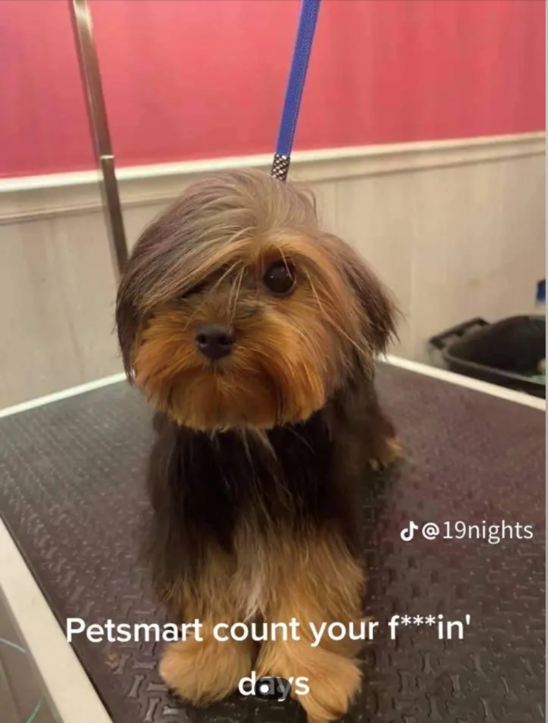 J@19nights Petsmart count your f***in' days