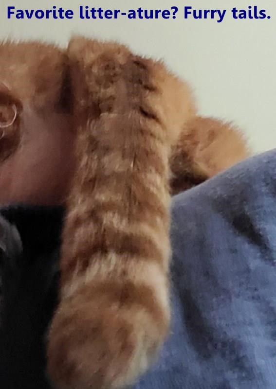 Cheezburger Image 10614081536