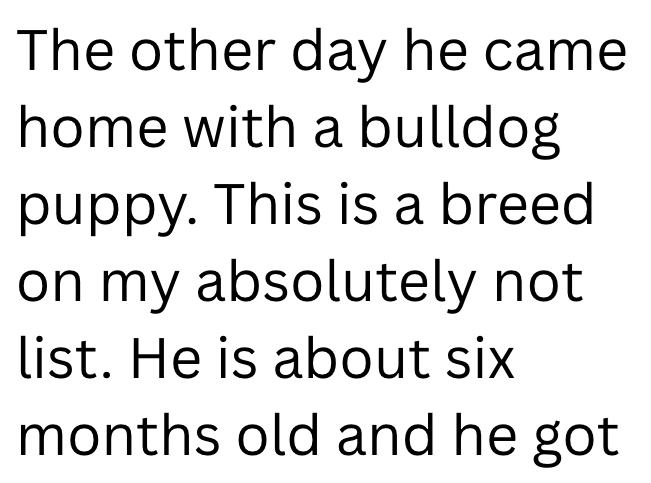 The other day he came home with a bulldog puppy. This is a breed on my absolutely not list. He is about six months old and he got