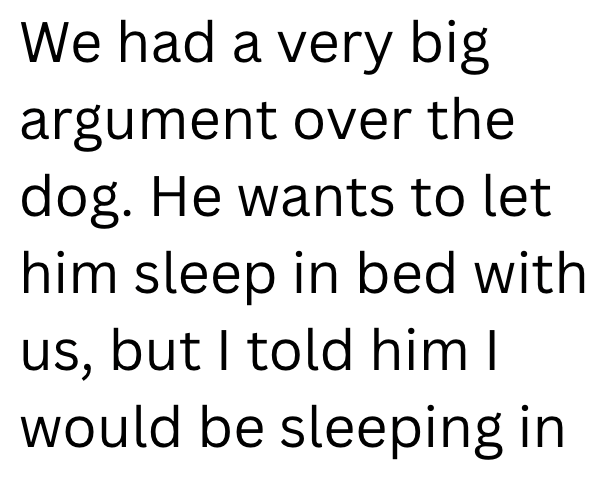 We had a very big argument over the dog. He wants to let him sleep in bed with us, but I told him I would be sleeping in