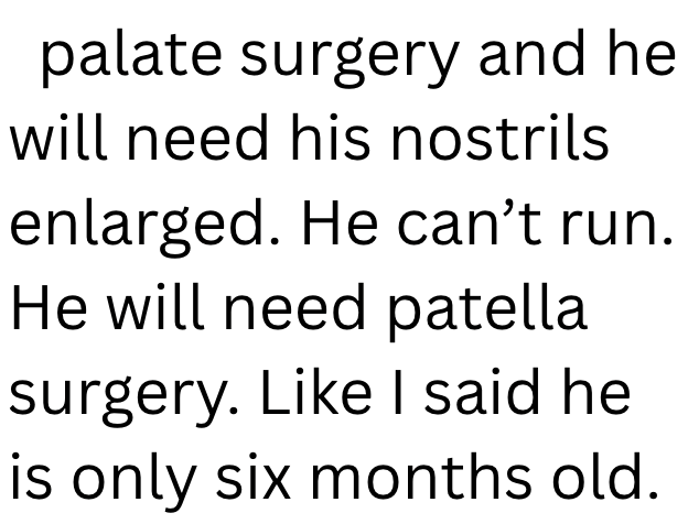 palate surgery and he will need his nostrils enlarged. He can't run. He will need patella surgery. Like I said he is only six months old.