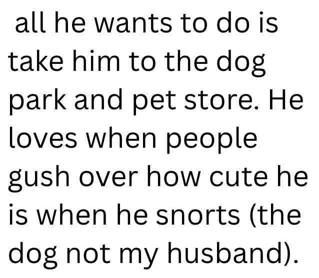 all he wants to do is take him to the dog park and pet store. He loves when people gush over how cute he is when he snorts (the dog not my husband).