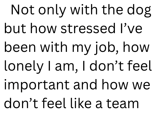 Not only with the dog but how stressed I've been with my job, how lonely I am, I don't feel important and how we don't feel like a team