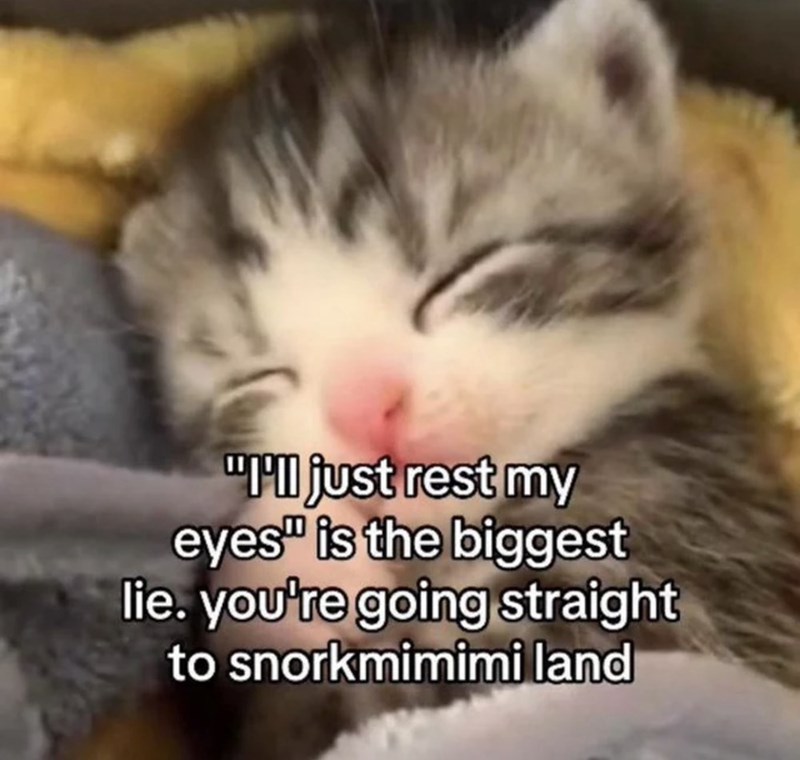 "I'll just rest my eyes" is the biggest lie. you're going straight to snorkmimimi land