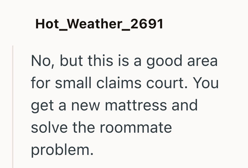 Hot Weather_2691 No, but this is a good area. for small claims court. You get a new mattress and solve the roommate problem.