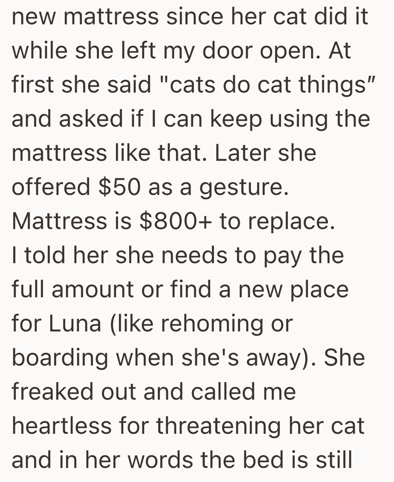 new mattress since her cat did it while she left my door open. At first she said "cats do cat things" and asked if I can keep using the mattress like that. Later she offered $50 as a gesture. Mattress is $800+ to replace. I told her she needs to pay the full amount or find a new place for Luna (like rehoming or boarding when she's away). She freaked out and called me heartless for threatening her cat and in her words the bed is still