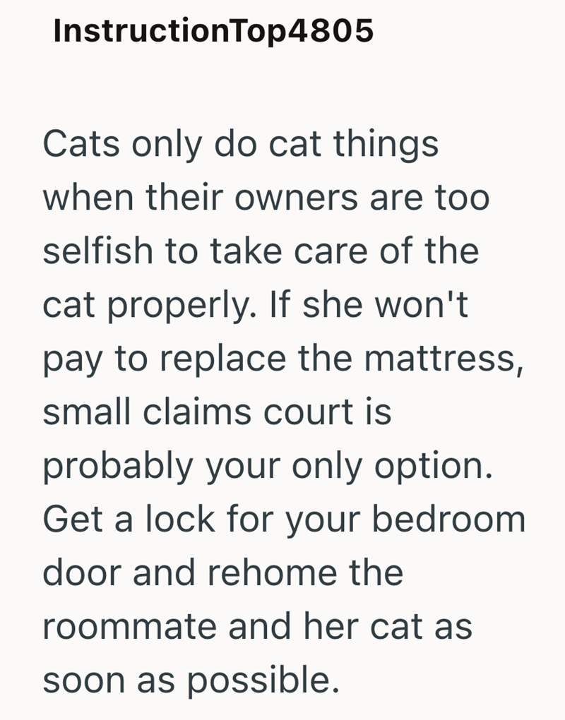 InstructionTop4805 Cats only do cat things. when their owners are too selfish to take care of the cat properly. If she won't. pay to replace the mattress, small claims court is probably your only option. Get a lock for your bedroom door and rehome the roommate and her cat as soon as possible.