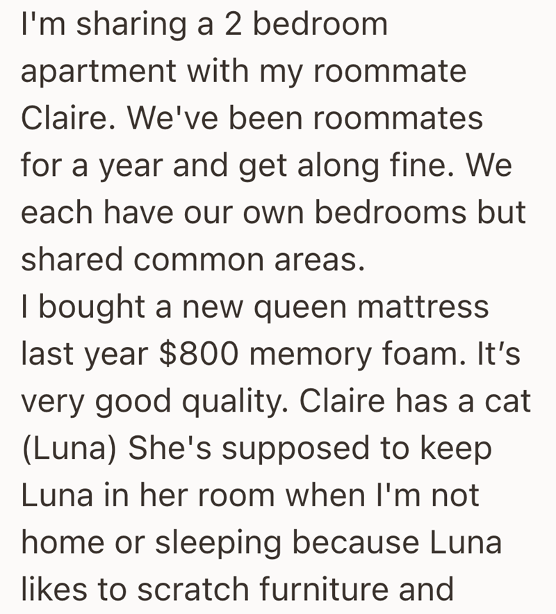 I'm sharing a 2 bedroom apartment with my roommate Claire. We've been roommates for a year and get along fine. We each have our own bedrooms but shared common areas. I bought a new queen mattress last year $800 memory foam. It's very good quality. Claire has a cat (Luna) She's supposed to keep Luna in her room when I'm not home or sleeping because Luna likes to scratch furniture and