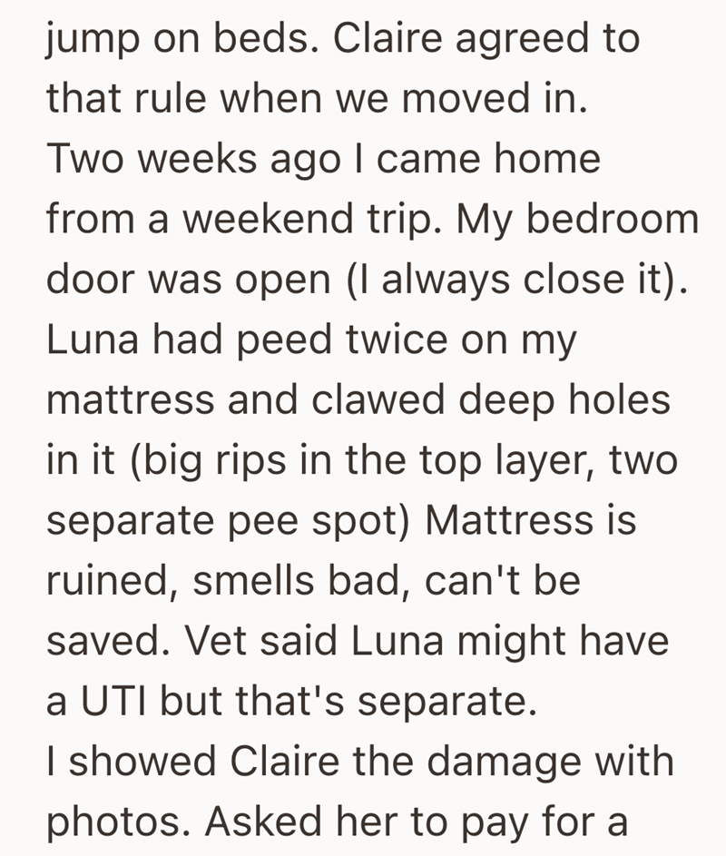 jump on beds. Claire agreed to that rule when we moved in. Two weeks ago I came home from a weekend trip. My bedroom door was open (I always close it). Luna had peed twice on my mattress and clawed deep holes in it (big rips in the top layer, two separate pee spot) Mattress is ruined, smells bad, can't be saved. Vet said Luna might have a UTI but that's separate. I showed Claire the damage with photos. Asked her to pay for a