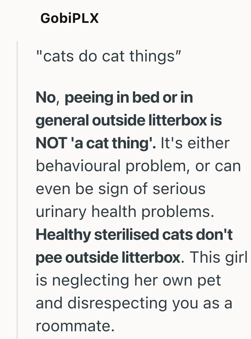 GobiPLX "cats do cat things" No, peeing in bed or in general outside litterbox is NOT 'a cat thing'. It's either behavioural problem, or can even be sign of serious urinary health problems. Healthy sterilised cats don't pee outside litterbox. This girl is neglecting her own pet and disrespecting you as a roommate.