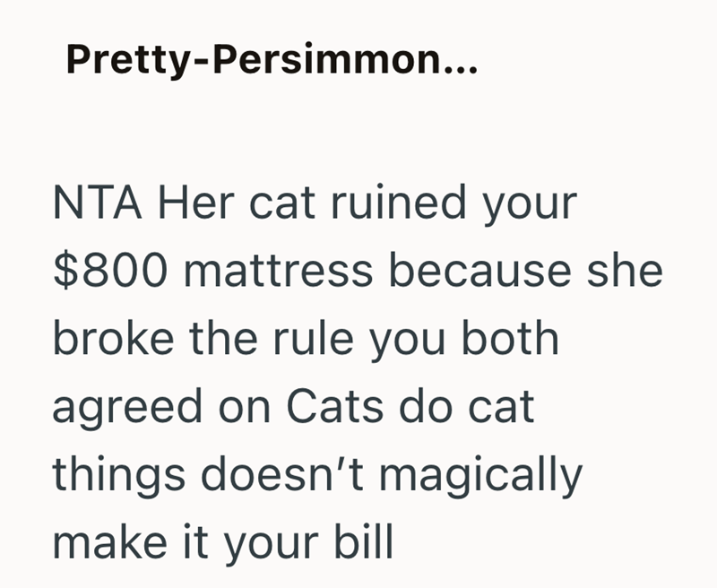 Pretty-Persimmon... NTA Her cat ruined your $800 mattress because she broke the rule you both agreed on Cats do cat things doesn't magically make it your bill