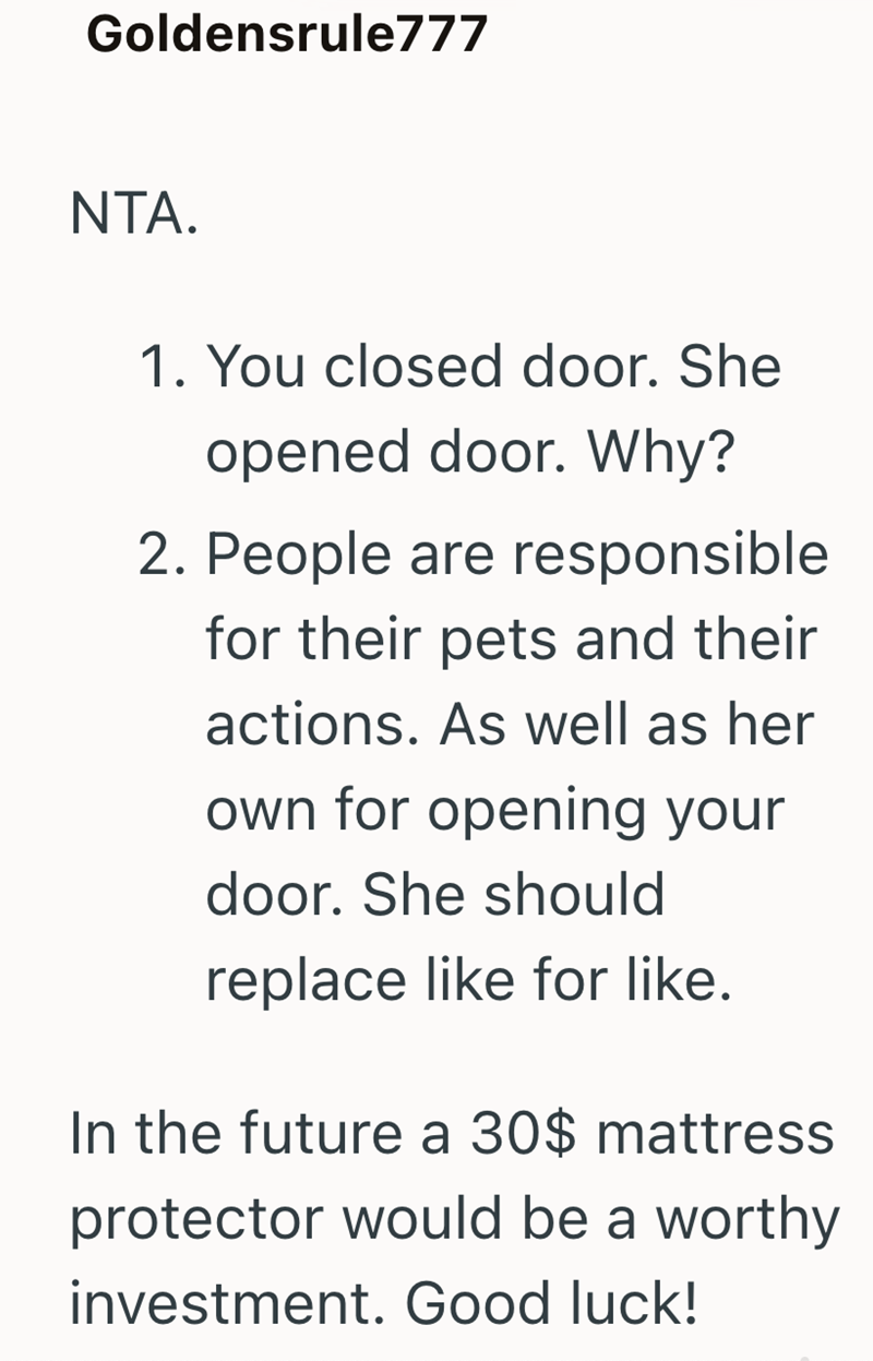 Goldensrule777 NTA. 1. You closed door. She opened door. Why? 2. People are responsible for their pets and their actions. As well as her own for opening your door. She should replace like for like. In the future a 30$ mattress protector would be a worthy investment. Good luck!