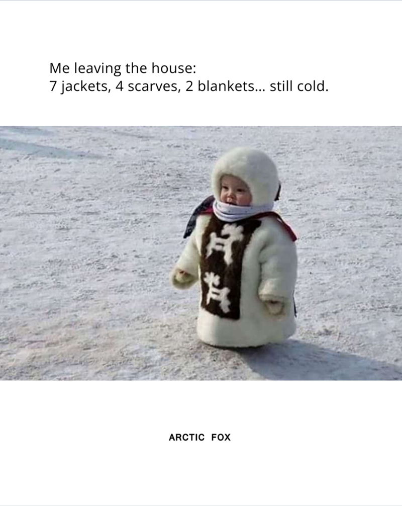 Me leaving the house: 7 jackets, 4 scarves, 2 blankets... still cold. ARCTIC FOX