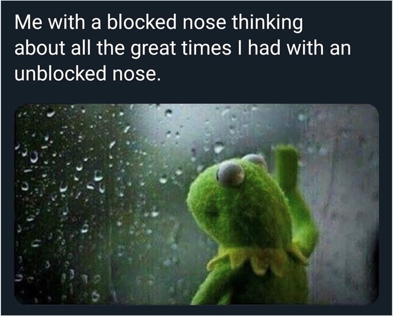 Me with a blocked nose thinking about all the great times I had with an unblocked nose.
