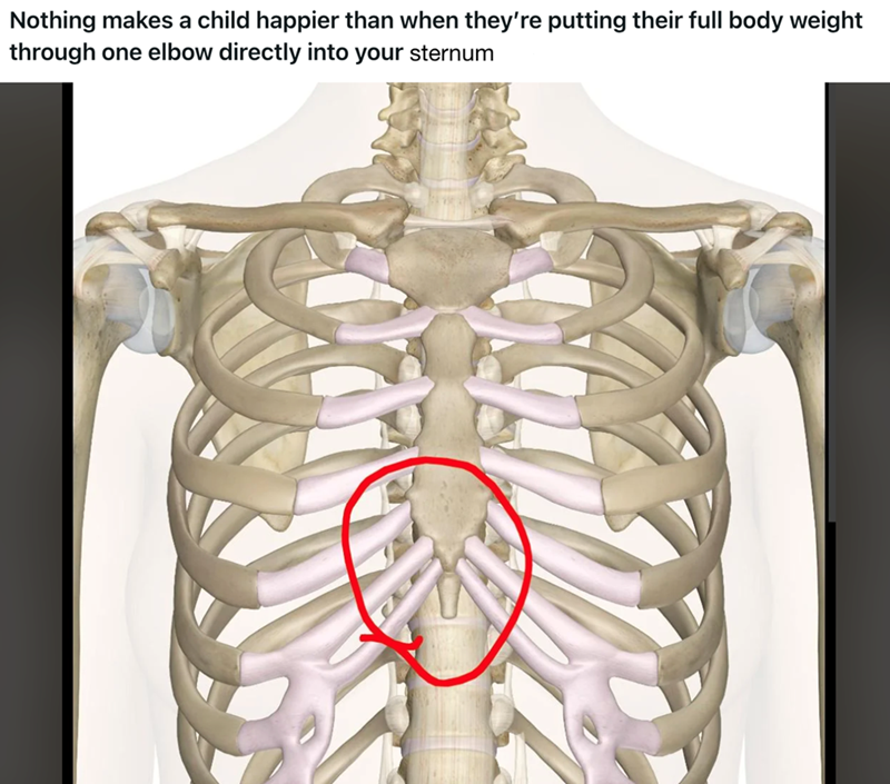Nothing makes a child happier than when they're putting their full body weight through one elbow directly into your sternum