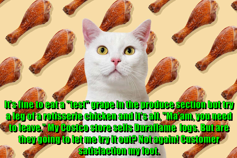 Cheezburger Image 10614128128