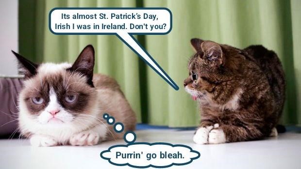 Cheezburger Image 10614137856