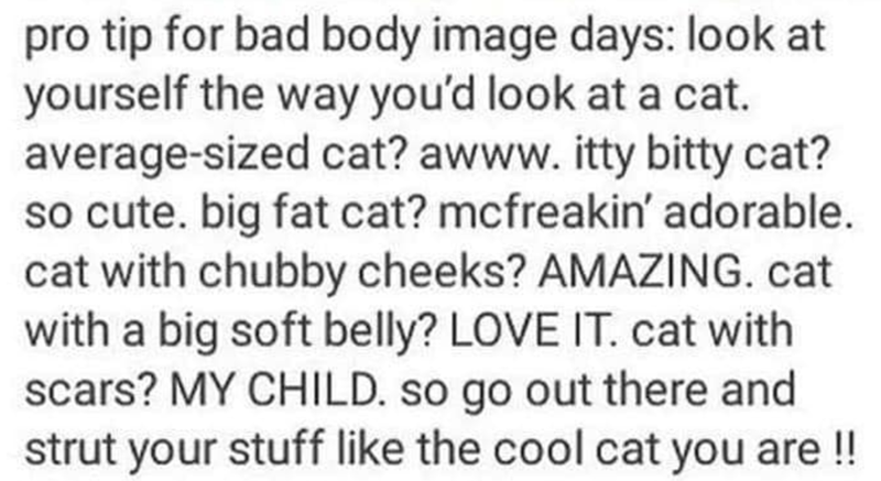 pro tip for bad body image days: look at yourself the way you'd look at a cat. average-sized cat? awww. itty bitty cat? so cute. big fat cat? mcfreakin' adorable. cat with chubby cheeks? AMAZING. cat with a big soft belly? LOVE IT. cat with scars? MY CHILD. so go out there and strut your stuff like the cool cat you are!!