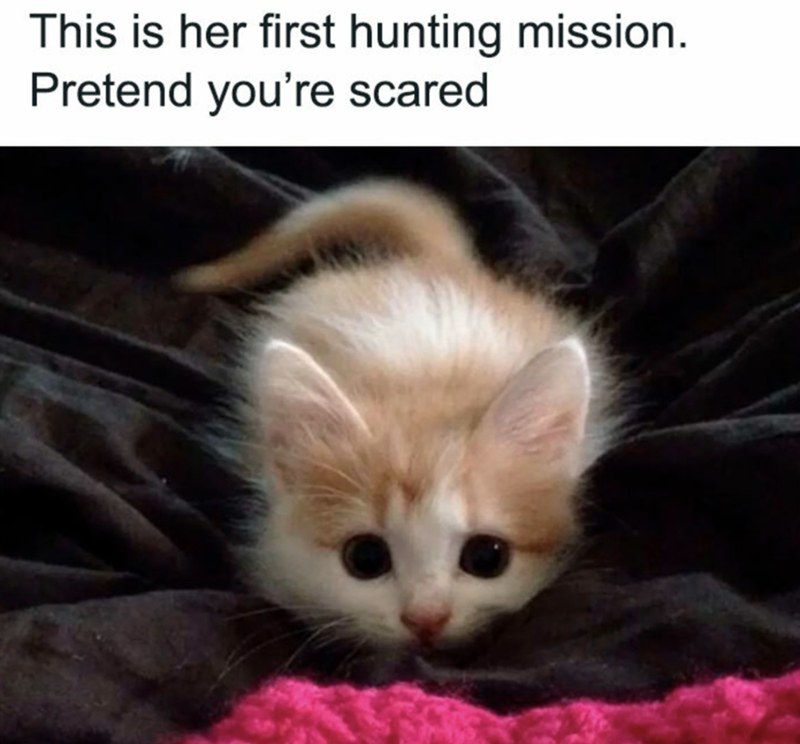 This is her first hunting mission. Pretend you're scared