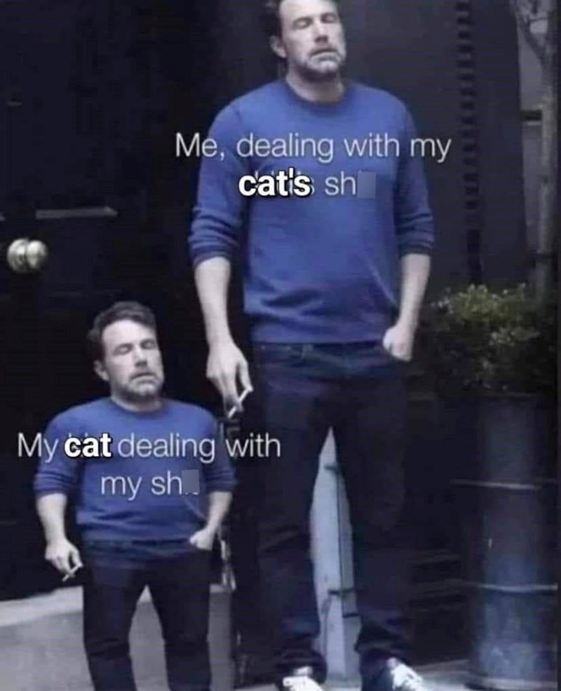 Me, dealing with my cat's sh My cat dealing with my sh..