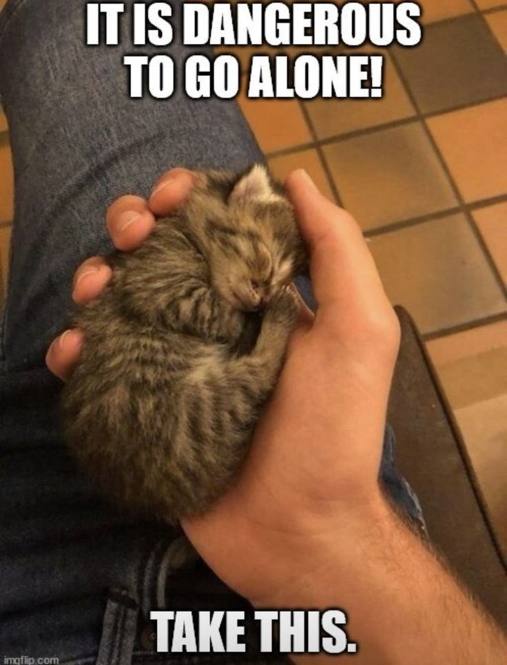 IT IS DANGEROUS TO GO ALONE! TAKE THIS. imgflip.com