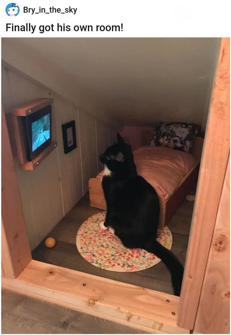 Bry_in_the_sky Finally got his own room!