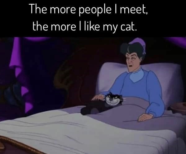 The more people I meet, the more I like my cat.