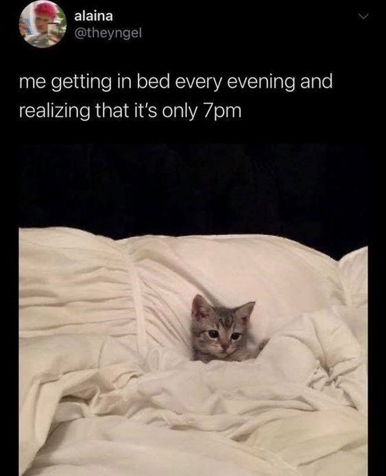 alaina @theyngel me getting in bed every evening and realizing that it's only 7pm