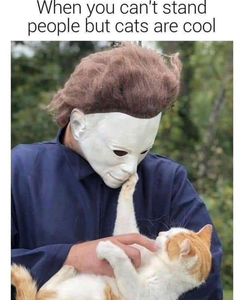When you can't stand people but cats are cool